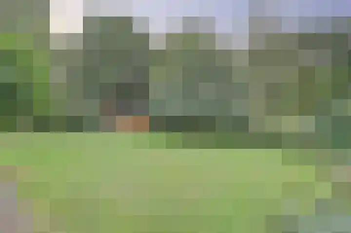 de Halmen 2 Voorst thumbnail 61