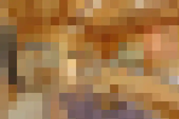 de Halmen 2 Voorst thumbnail 63