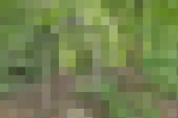 de Halmen 2 Voorst thumbnail 65