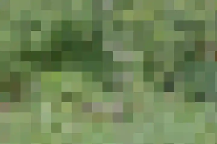 de Halmen 2 Voorst thumbnail 66
