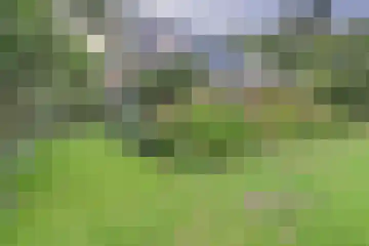 de Halmen 2 Voorst thumbnail 67