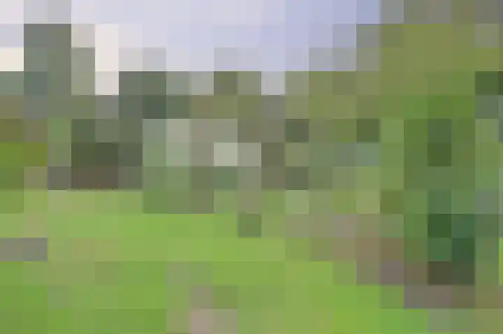 de Halmen 2 Voorst thumbnail 68