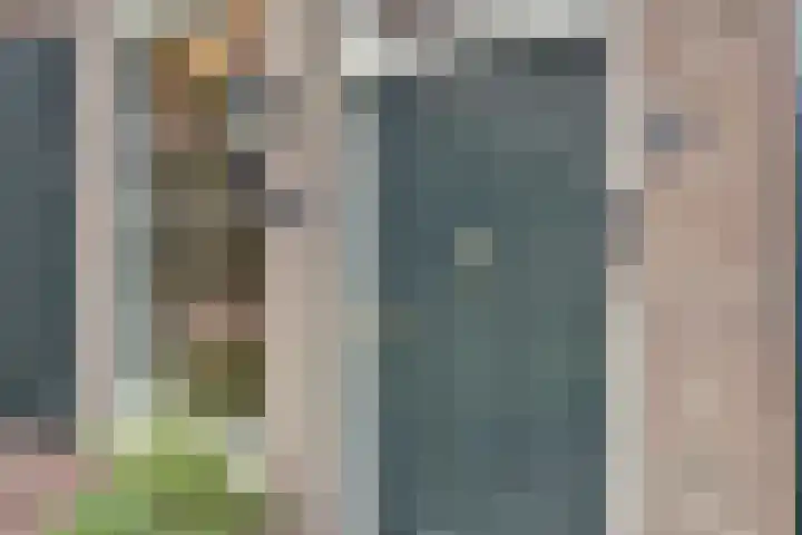 de Halmen 2 Voorst thumbnail 7