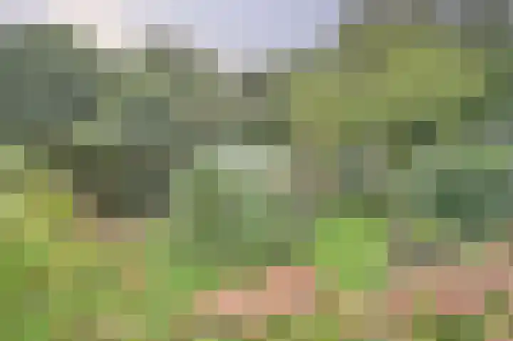 de Halmen 2 Voorst thumbnail 70
