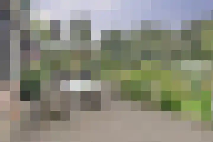 de Halmen 2 Voorst thumbnail 71