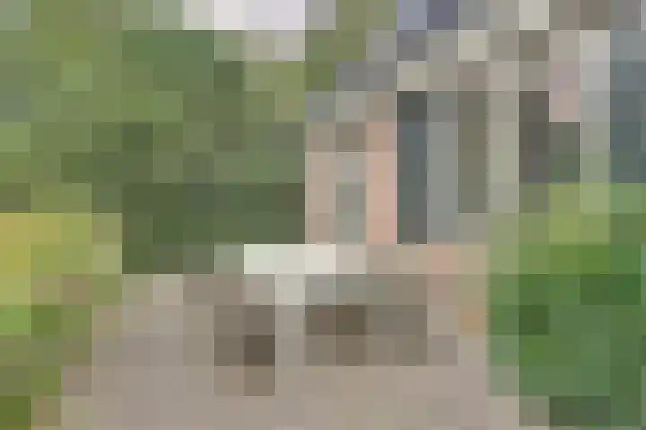de Halmen 2 Voorst thumbnail 72