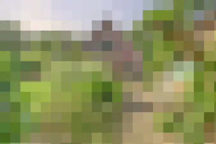 de Halmen 2 Voorst thumbnail 73