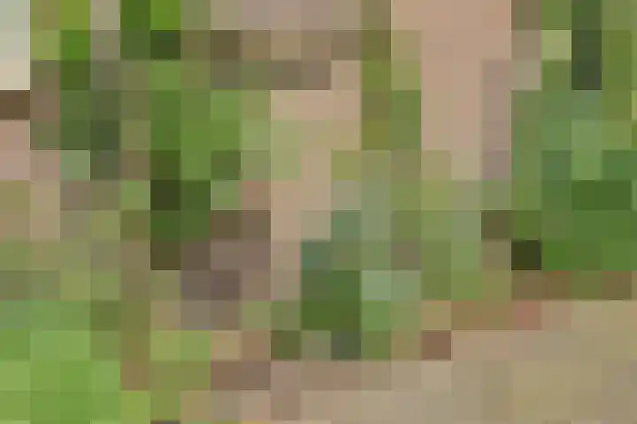 de Halmen 2 Voorst thumbnail 74