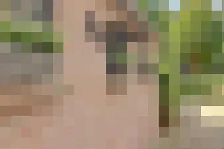 de Halmen 2 Voorst thumbnail 78