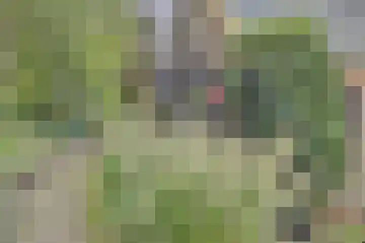 de Halmen 2 Voorst thumbnail 79