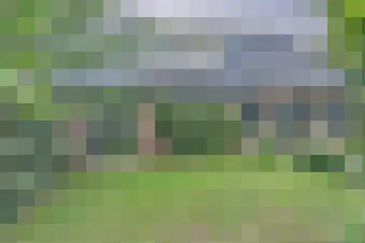 de Halmen 2 Voorst thumbnail 8