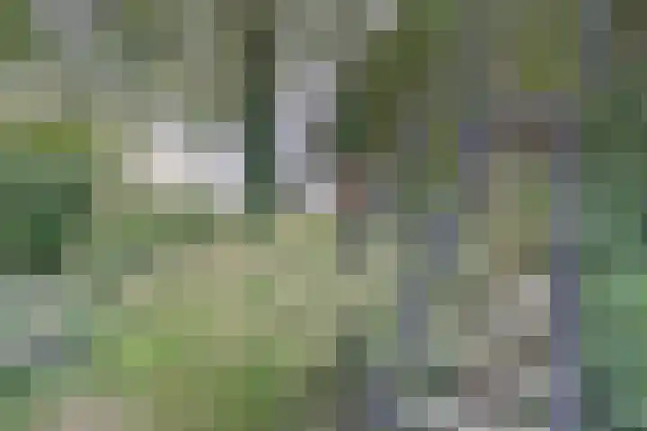de Halmen 2 Voorst thumbnail 80