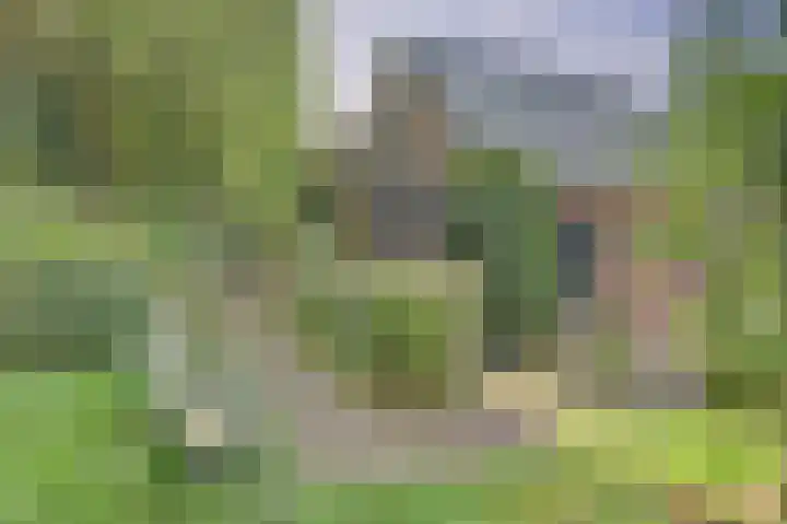 de Halmen 2 Voorst thumbnail 81