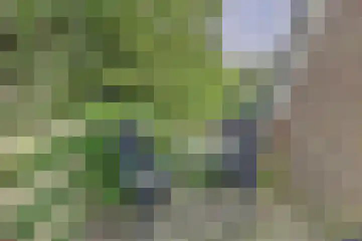de Halmen 2 Voorst thumbnail 82