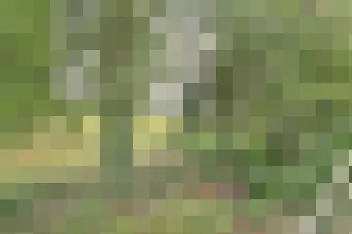 de Halmen 2 Voorst thumbnail 83