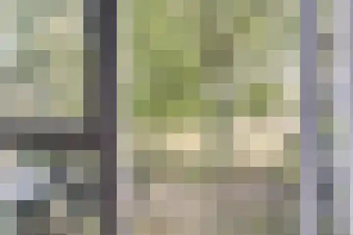 de Halmen 2 Voorst thumbnail 84