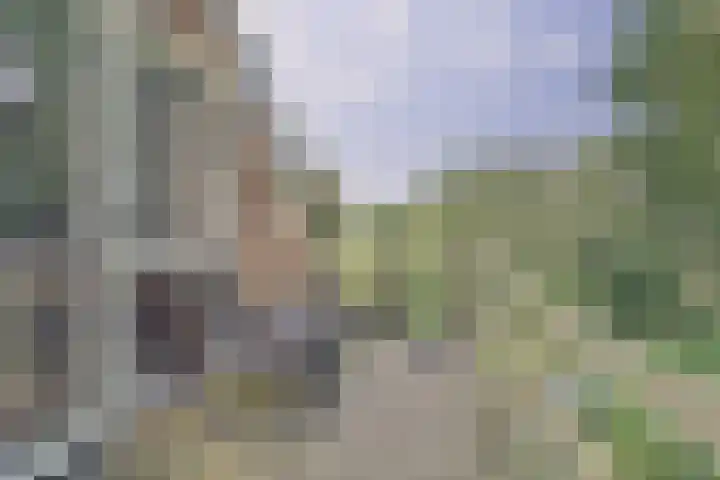 de Halmen 2 Voorst thumbnail 85