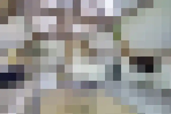 de Halmen 2 Voorst thumbnail 86