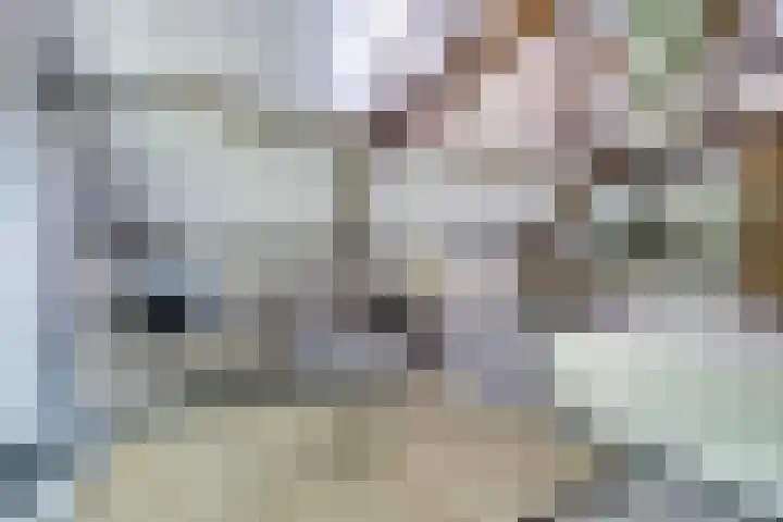 de Halmen 2 Voorst thumbnail 87