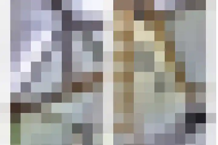 de Halmen 2 Voorst thumbnail 88