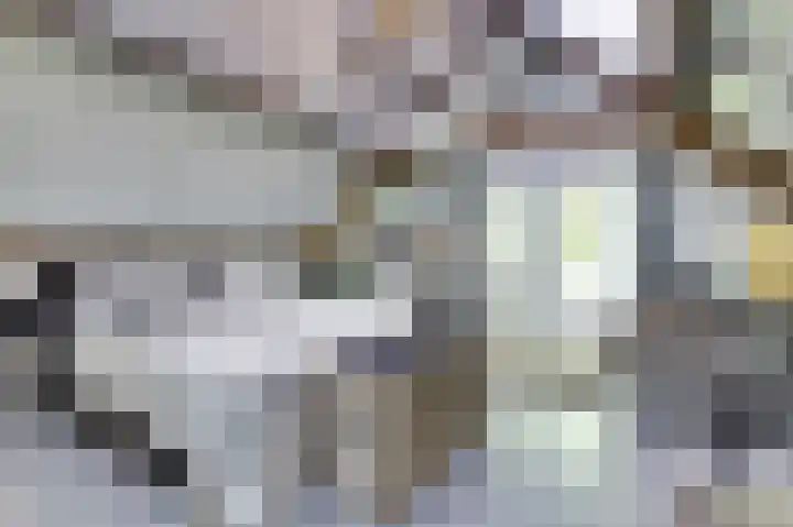 de Halmen 2 Voorst thumbnail 89