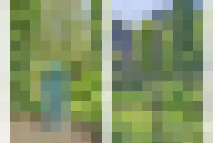 de Halmen 2 Voorst thumbnail 9