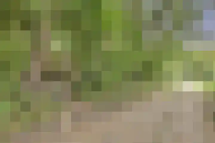 de Halmen 2 Voorst thumbnail 94