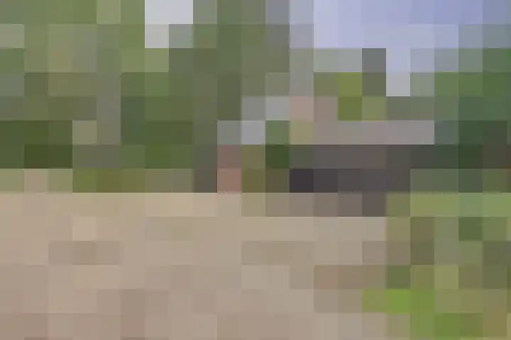 de Halmen 2 Voorst thumbnail 95