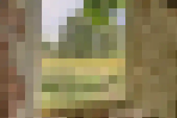 de Halmen 2 Voorst thumbnail 96