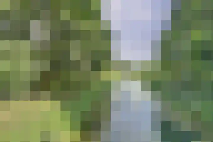 de Halmen 2 Voorst thumbnail 99