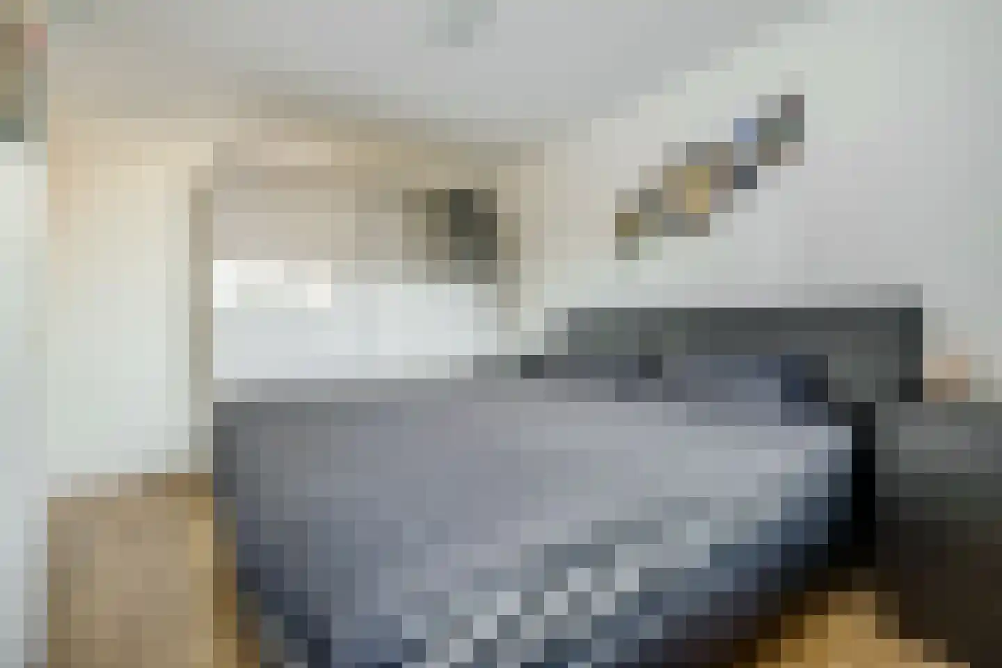 De Halte 109 Ede thumbnail 26