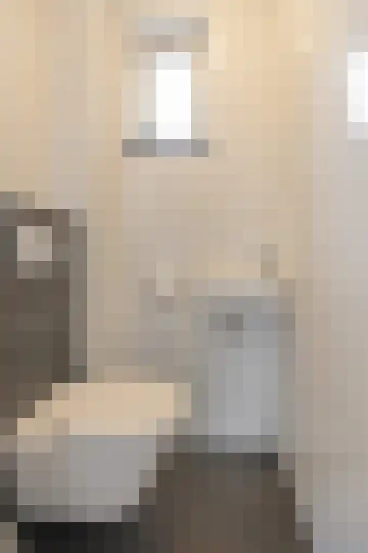 De Handboog 4 Duiven thumbnail 11