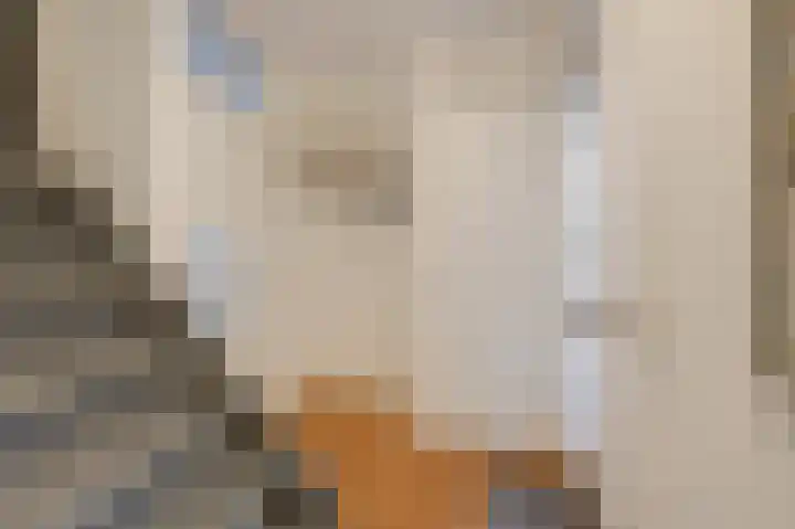 De Handboog 4 Duiven thumbnail 12