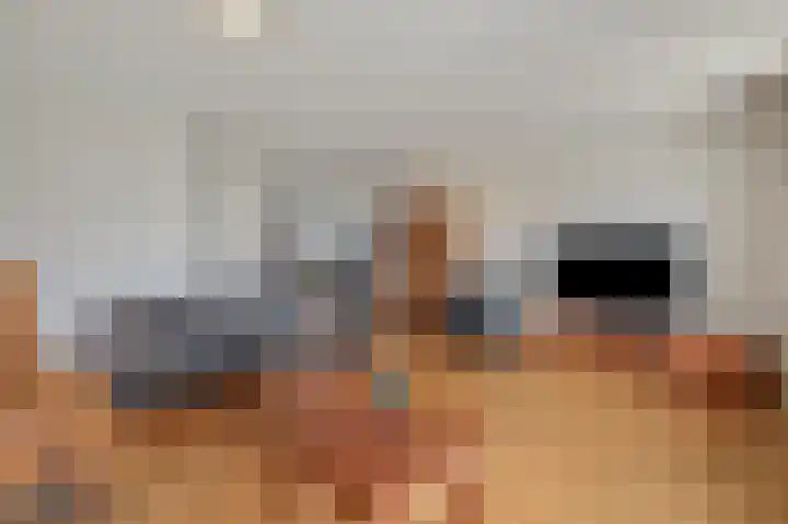 De Handboog 4 Duiven thumbnail 17
