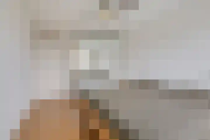 De Handboog 4 Duiven thumbnail 32