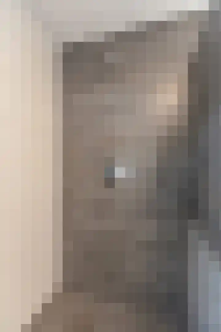 De Handboog 4 Duiven thumbnail 41
