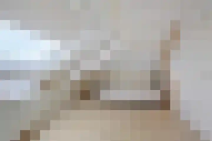 De Handboog 4 Duiven thumbnail 48