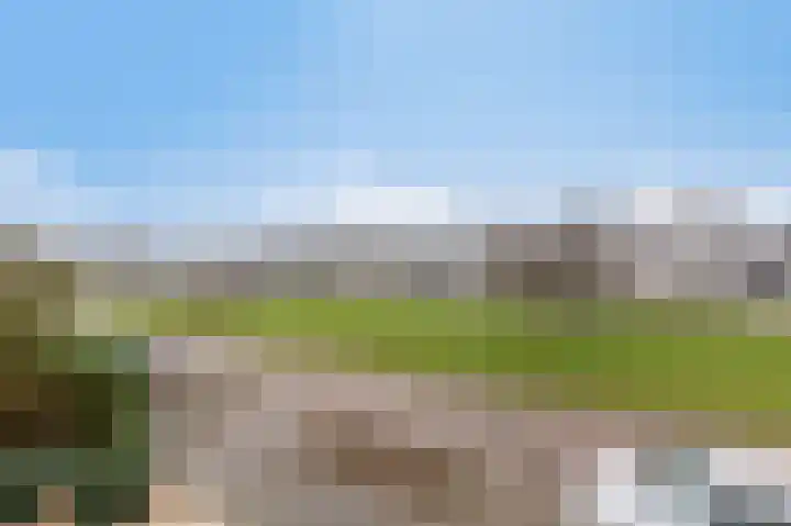 De Handboog 4 Duiven thumbnail 51