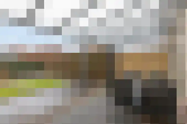 De Handboog 4 Duiven thumbnail 56