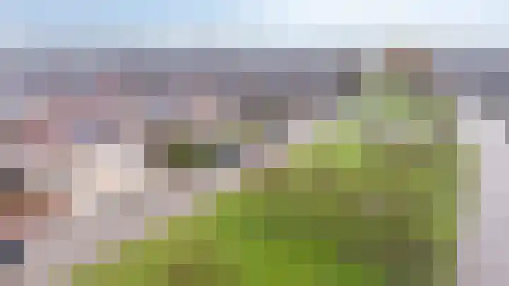 De Handboog 4 Duiven thumbnail 66