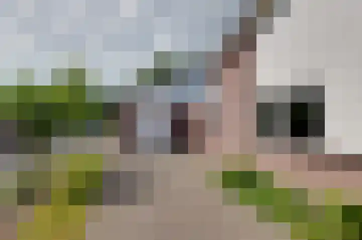 De Hanekampen 3 Beilen thumbnail 37