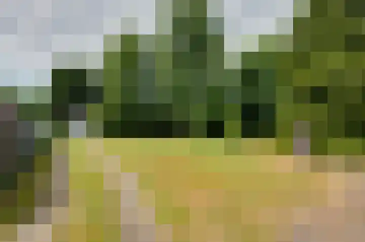 De Hanekampen 3 Beilen thumbnail 38