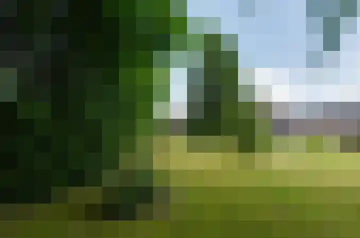 De Hanekampen 3 Beilen thumbnail 40