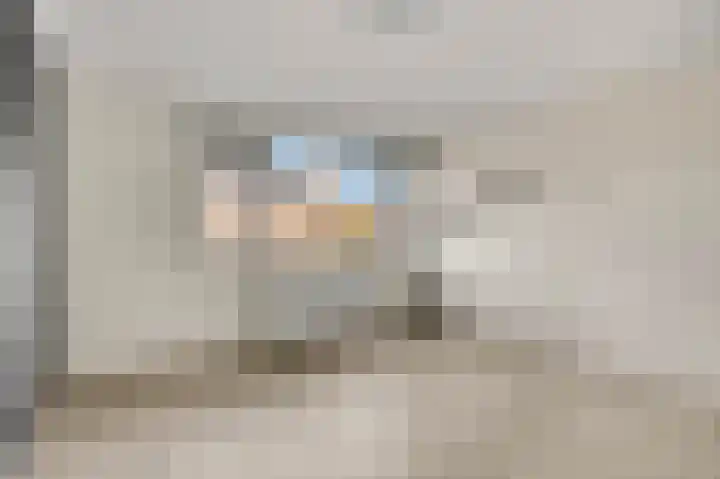 de Hank 21 Amerongen thumbnail 11