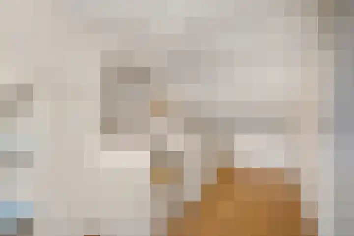 de Hank 21 Amerongen thumbnail 22