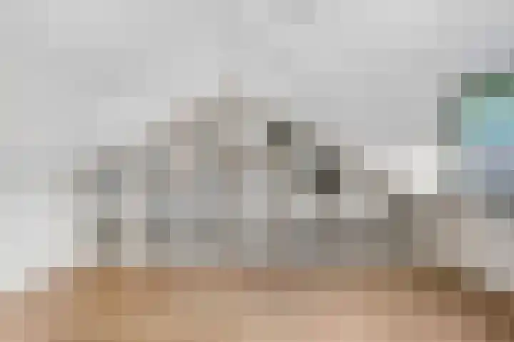 de Hank 21 Amerongen thumbnail 24
