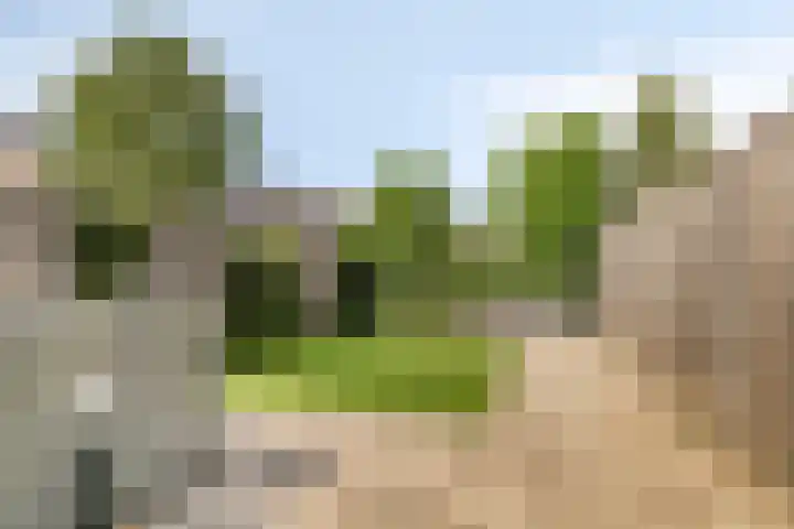 De Hank 31 Leusden thumbnail 11