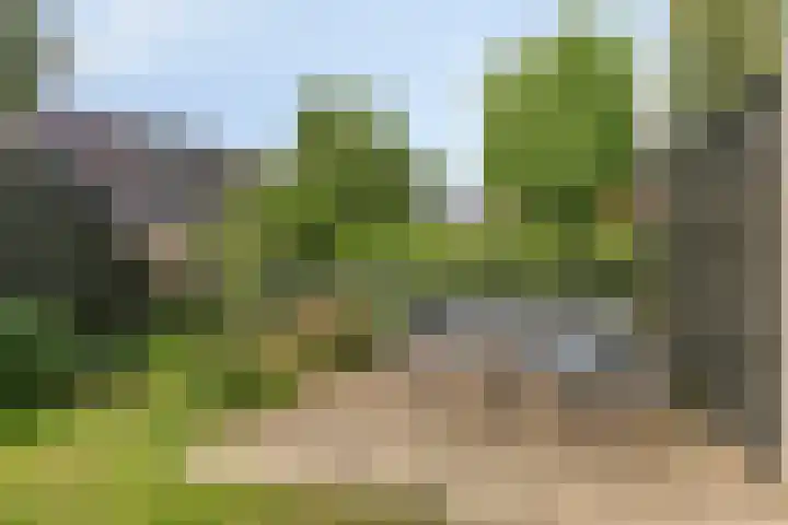 De Hank 31 Leusden thumbnail 13