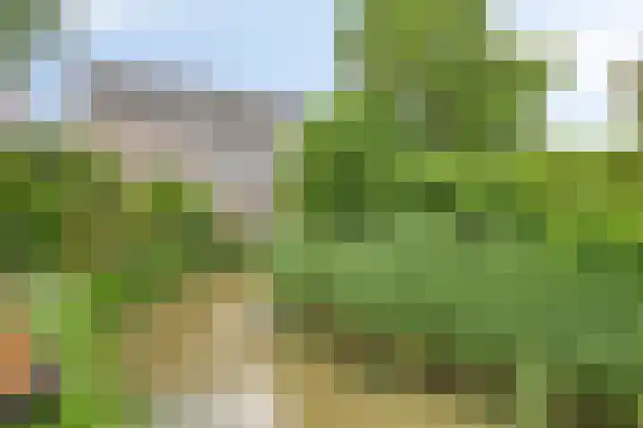 De Hank 31 Leusden thumbnail 14