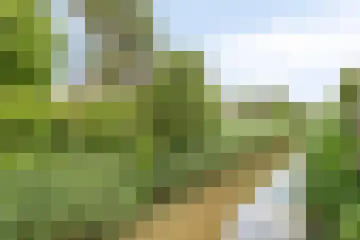 De Hank 31 Leusden thumbnail 15